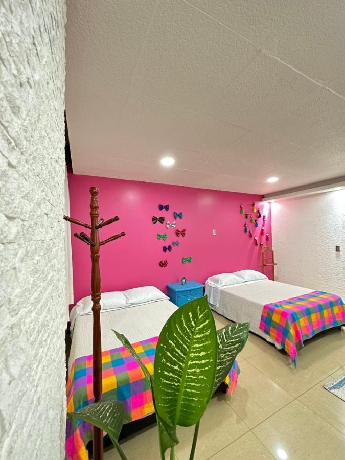 Rosa1B Apartment Mexico City Exterior photo